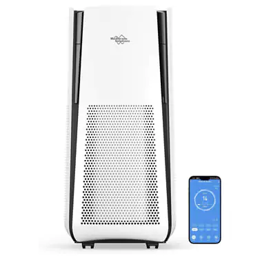 Air Purifier for the Home